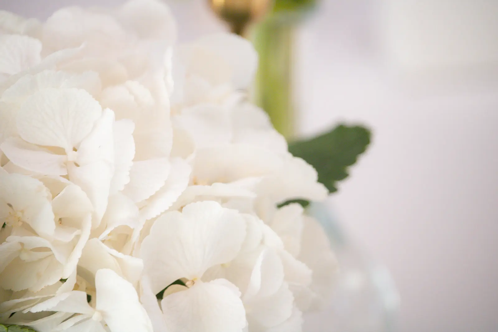 Belamo Atelier — flores de casamento